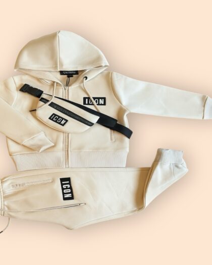 Icon Set Beige Lang