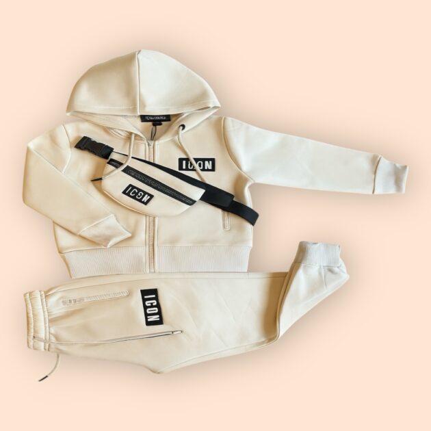 Icon Set Beige Lang